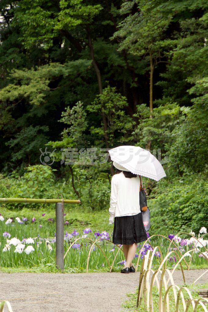 御苑にはたくさんの人がいましたが、一瞬の隙を見つけて日傘の女性の後ろ姿だけを撮ることができましたね！構えて、待っているとシャッターチャンスが必ず訪れます＝２０１５年、東京都渋谷区（入内島健三撮影）