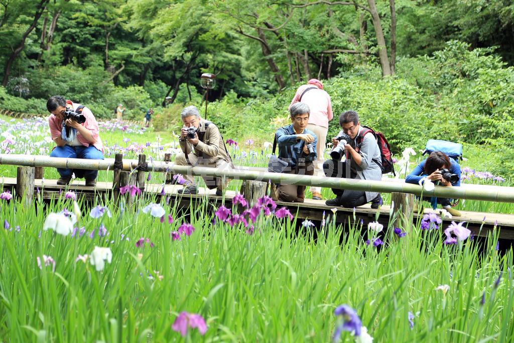 【今回参加してくださった５人】埼玉県朝霞市＿林浩治さん、神奈川県大和市＿堤紀之さん、東京都世田谷区＿入内島健さん、神奈川県横浜市旭区＿加藤一憲さん、神奈川県鎌倉市＿小田扶抄江さん＝２０１５年６月、東京都渋谷区（須藤夕子さん撮影）