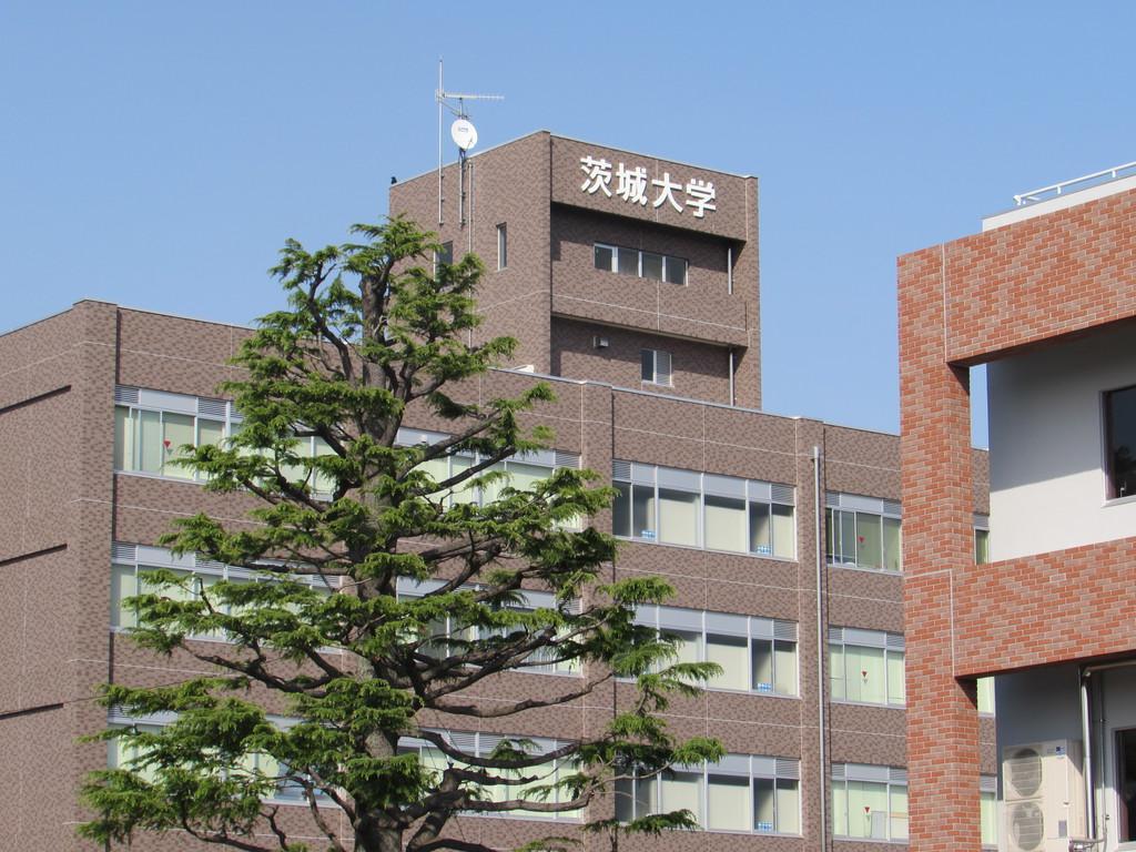 地域への交流を模索する茨城大学