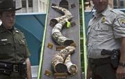 米当局が押収した違法な象牙製品＝２０１５年６月１９日、米ニューヨーク（ＡＰ）