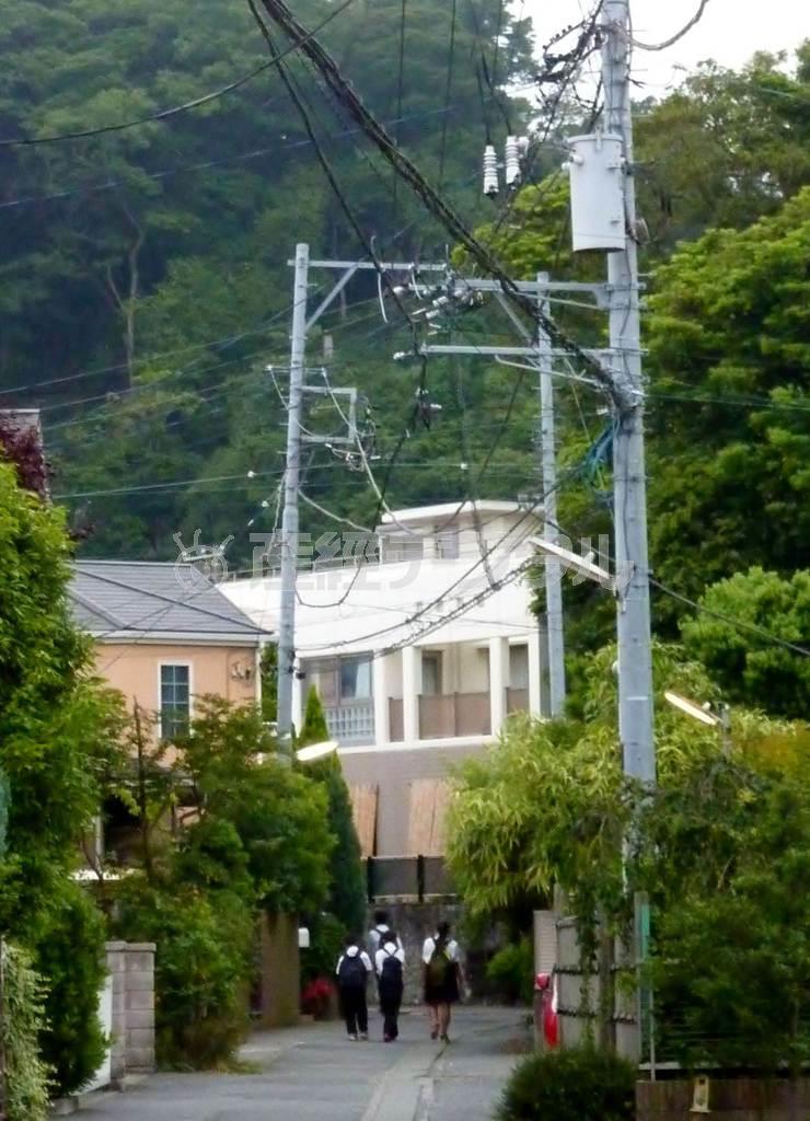 ゆっくりと流れる時間＝２０１５年６月１１日、神奈川県鎌倉市
