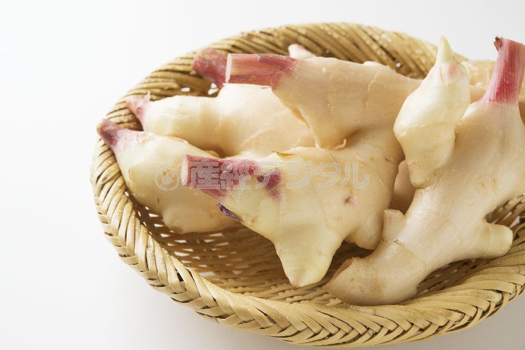 やさしい辛さの新生姜。梅雨をシャッキリ乗り切ろう（松下二郎さん撮影）