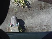 （町田康さん撮影）