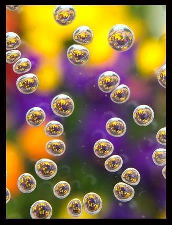 初夏の札幌・大通公園が気泡に映える。雨粒代わりに、気泡入りのアクリル板を使ってみた＝２０１５年６月６日、北海道札幌市中央区（野口隆史さん撮影、ｉＰｈｏｎｅ５ｓ使用）