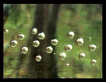 手元にあった、気泡入りのガラス文鎮をフィルターのように使ってみた。札幌・藻岩原生林が水中に沈んだようにも見える＝２０１５年４月３０日、北海道札幌市（野口隆史さん撮影、ｉＰｈｏｎｅ５ｓ使用）