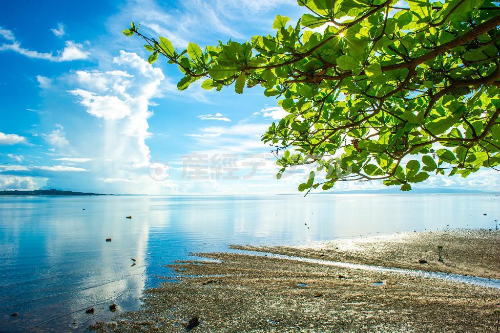 夏のある日、朝から無風状態が続き海が鏡の様になる時がある。石垣島最大の湾である名蔵湾から撮影した海と積乱雲＝沖縄県石垣市（永山真治さん撮影）
