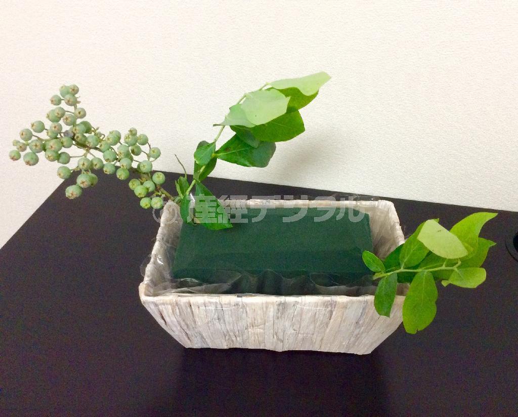 （手順１）オアシスをセットした籠に、ブルーベリーの枝を四隅から外にはみ出るように低めに挿す（花千代さん提供）