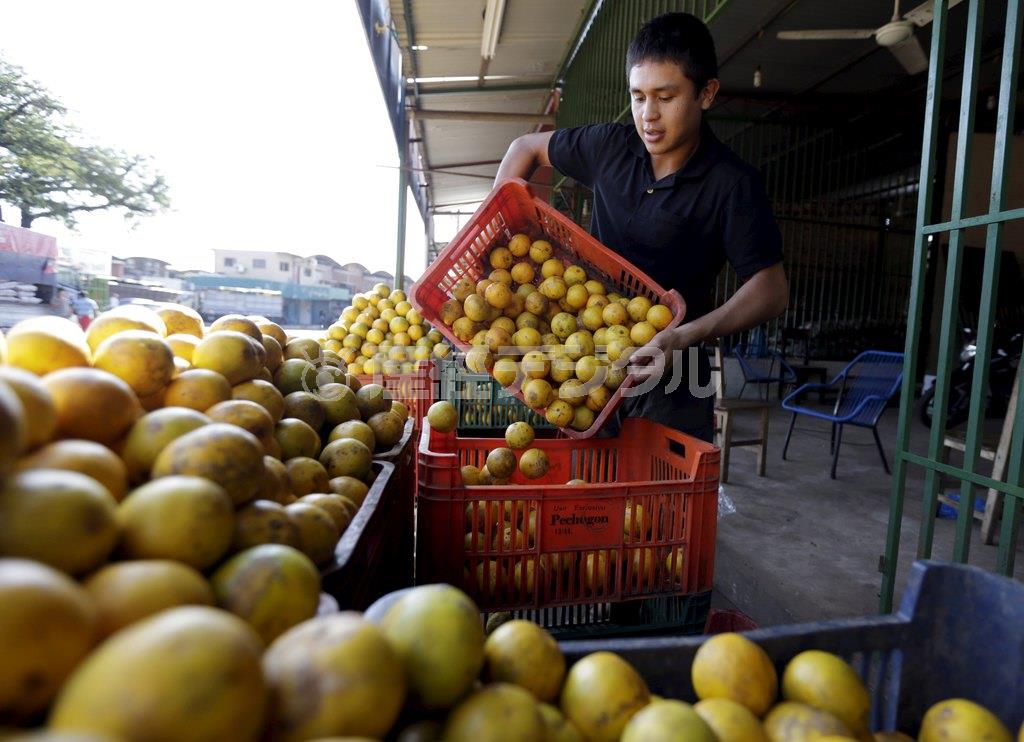 オレンジを売る男性。これらの柑橘系果物に含まれる物質が紫外線への感受性を高め、皮膚がんのリスクを増大させるという＝２０１６年４月３０日、パラグアイ・首都アスンシオン（ロイター）