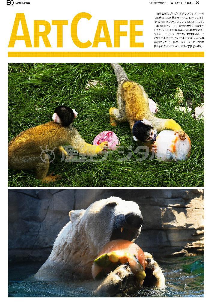 （写真上）動物園のボリビアリスザル＝２０１５年７月２日、ベルギー・アントワープ（ロイター）。（写真下）ドイツ・ハノーバーのシロクマ＝２０１５年７月２日（ＡＰ）