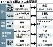 TPP交渉で残された主要課題