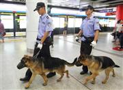 （中国新聞社）