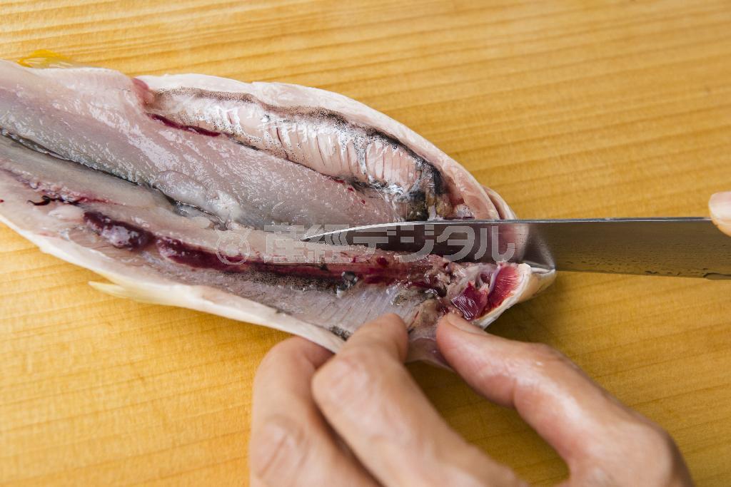 鮎の一夜干し（手順１）＿＿頭までしっかりと開いて（松下二郎さん撮影）