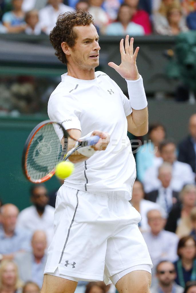 男子シングルスで４強入りしたアンディ・マリー＝２０１５年７月、英国・ウィンブルドン（共同）