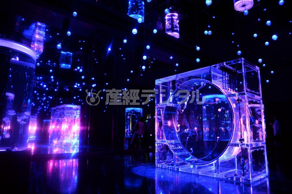 ジェリーフィッシュランブルの中央には、幅及び高さ各２メートル、厚さ８０センチの楕円形シンボリック水槽（右）が据えられている＝２０１５年７月６日、東京都港区の「エプソン＿アクアパーク品川」（矢島康弘撮影）