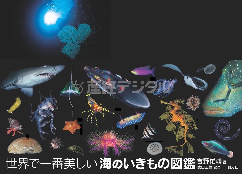 『世界で一番美しい海の生き物図鑑』（吉野雄輔著、創元社、３６００円＋税、提供写真）