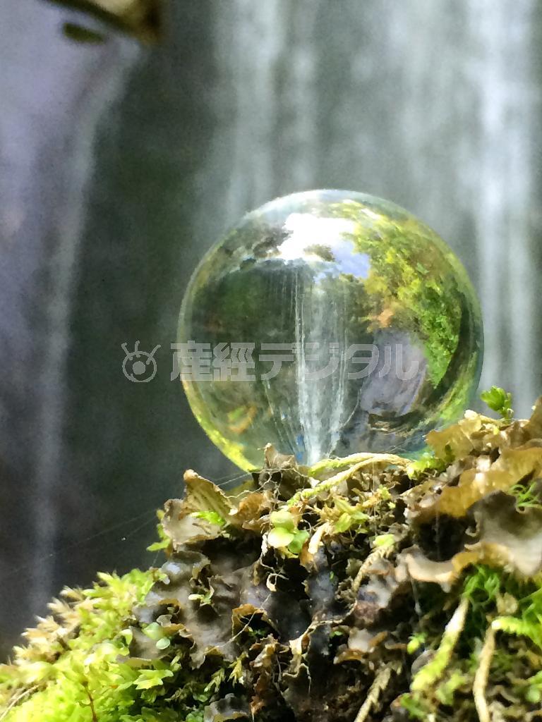 札幌市内にいくつもの滝が点在する。その一つ、有明の滝は落差１３メートルで、ミズナラやイタヤカエデに囲まれ、一汗もかかずに森林浴を楽しみながら滝まで訪れることができる。遊び心で透明なアクリル玉に滝を反射させてみた＝２０１５年７月９日、北海道（野口隆史さん撮影、ｉＰｈｏｎｅ５ｓ使用）