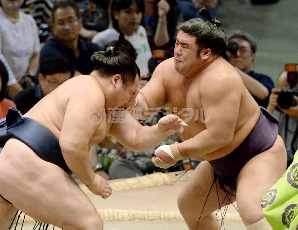 鶴竜（かくりゅう、左）を攻める栃煌山（とちおうざん）＝２０１５年７月２０日、愛知県名古屋市中区の愛知県体育館（共同）