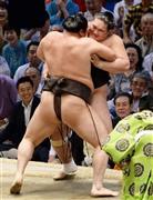 白鵬（手前）の寄りを懸命にこらえる照ノ富士＝２０１５年７月２２日、愛知県名古屋市中区・愛知県体育館（共同）