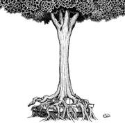 ストレイテナー「ＮＯ～命の跡に咲いた花」。発売中（提供写真）