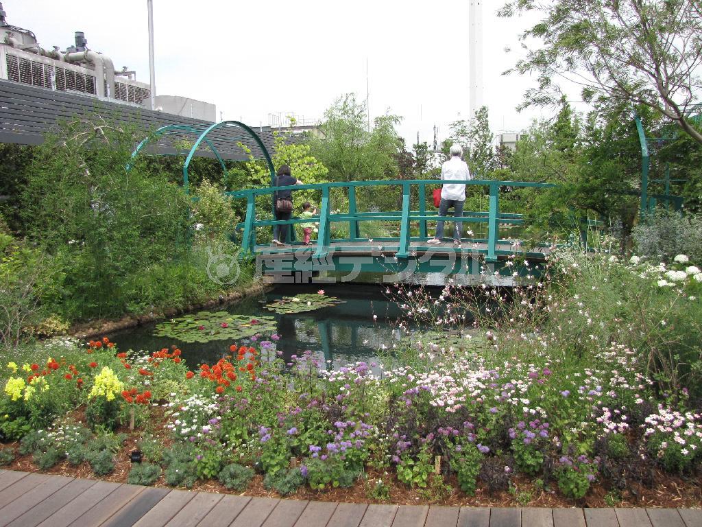 西武池袋本店の屋上に完成した「睡蓮の庭」では季節の花を楽しめる＝２０１５年６月１１日、東京都豊島区（大塚昌吾撮影）