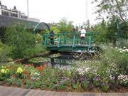 西武池袋本店の屋上に完成した「睡蓮の庭」では季節の花を楽しめる＝２０１５年６月１１日、東京都豊島区（大塚昌吾撮影）