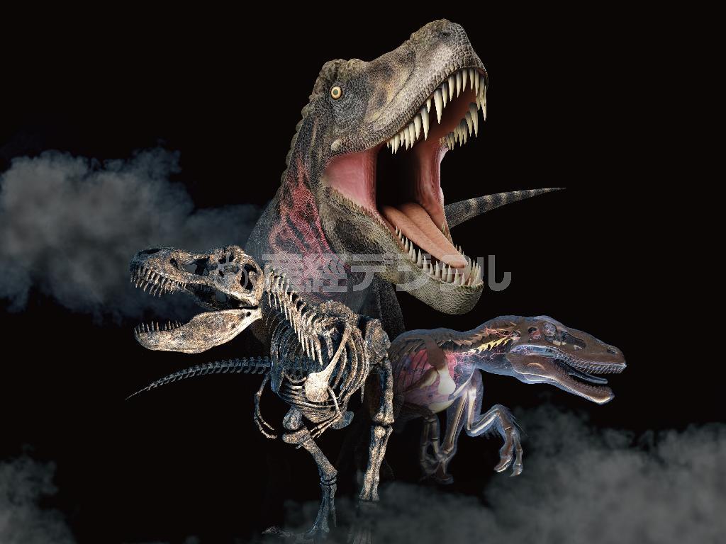 ２１世紀のテクノロジーで恐竜を徹底解剖！。（Ｃ）２０１５＿Ｄｉｓｃｏｖｅｒｙ＿Ｃｏｍｍｕｎｉｃａｔｉｏｎｓ，ＬＬＣ．