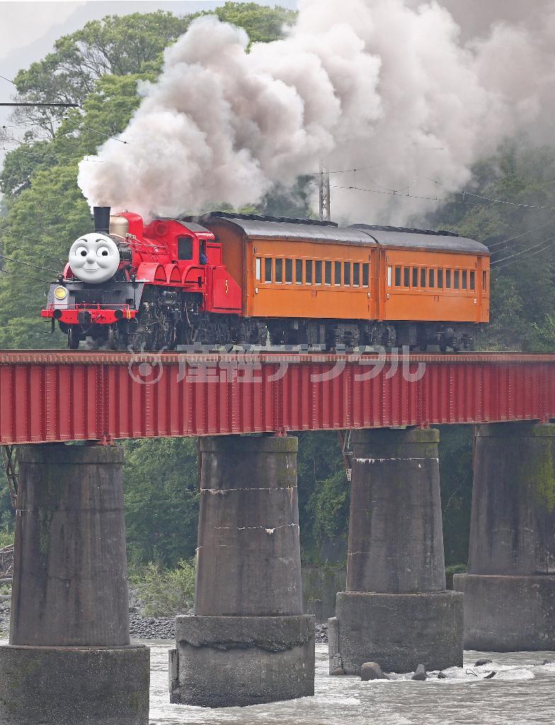 大人気だった昨年のトーマス号に続き、新しく大井川鉄道が運行を始めた赤いＳＬジェームス号。大井川第一橋梁（きょうりょう）で勢いよく汽笛を響かせた＝２０１５年７月７日、静岡県島田市（尾崎修二撮影）。（Ｃ）２０１５＿Ｇｕｌｌａｎｅ（Ｔｈｏｍａｓ）Ｌｉｍｉｔｅｄ．