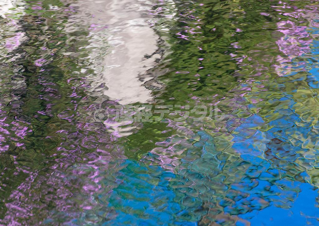 「ＹＵＲＡＧＩ」。白い壁をつたうように垂れた薄紫色の花と空が織りなした印象派の絵画のような色彩の作品＝２０１３年１０月、自宅近くで（遠藤湖舟さん撮影）。（Ｃ）Ｋｏｓｈｕ＿ＥＮＤＯ