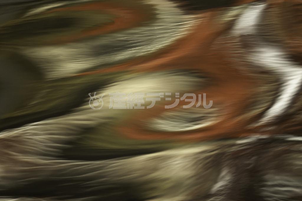 「ＹＵＲＡＧＩ」。紅葉のオレンジと枯れてきた葉の色が家の壁と合わさった。自身が好きな作品＝２０１０年１２月、自宅近くで（遠藤湖舟さん撮影）。（Ｃ）Ｋｏｓｈｕ＿ＥＮＤＯ