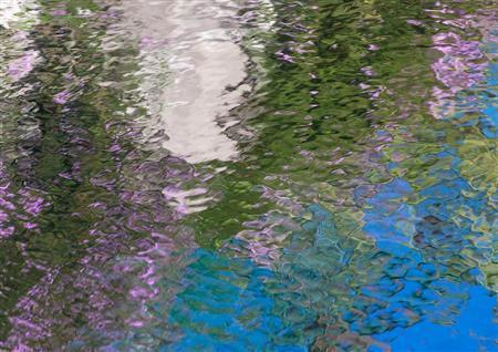 「ＹＵＲＡＧＩ」。白い壁をつたうように垂れた薄紫色の花と空が織りなした印象派の絵画のような色彩の作品＝２０１３年１０月、自宅近くで（遠藤湖舟さん撮影）。（Ｃ）Ｋｏｓｈｕ＿ＥＮＤＯ