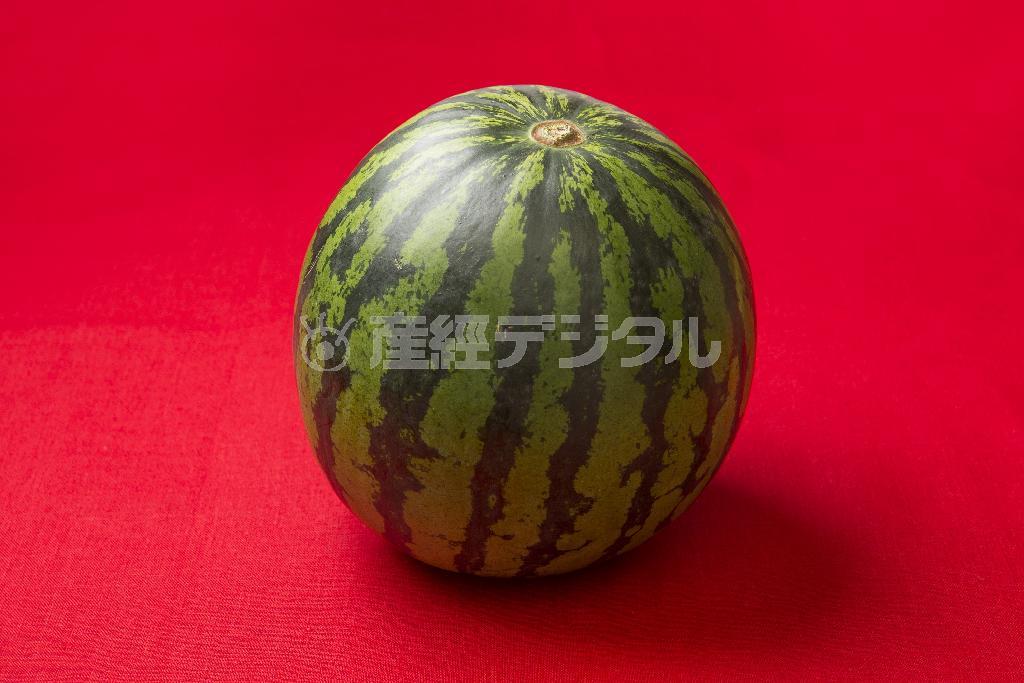 核家族化でカットのものを買うことが増えたスイカ。ときにはどーんと丸ごと一玉を！（松下二郎さん撮影）