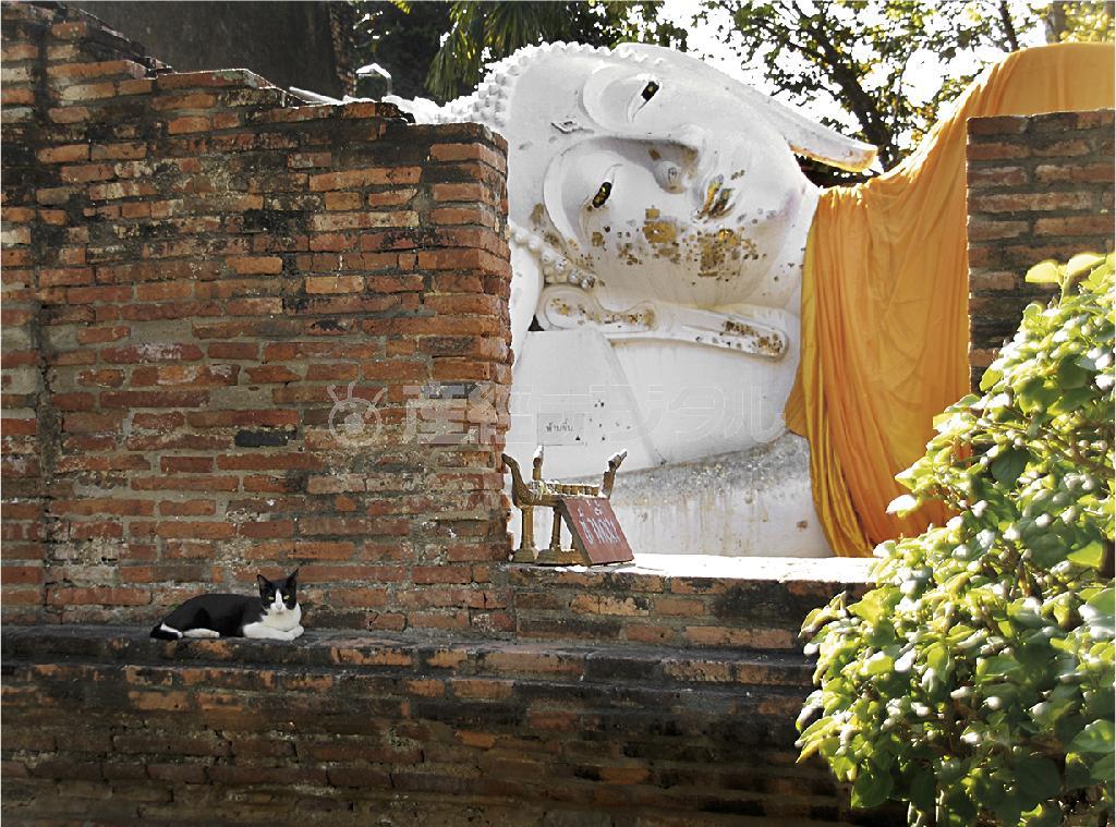 アユタヤの遺跡で屋外に横たわる涅槃像、ここでもネコちゃんがお昼寝していた＝タイ（酒井久美子さん撮影）