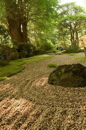 広角レンズの特徴を良く生かして、手前に一番見せたい物を大きく見せて、遠くが明るく、木などが小さく見えるので遠近法でとても広く見えます＝２０１５年７月２６日、神奈川県鎌倉市の報国寺（大川更紗さん撮影、提供写真）