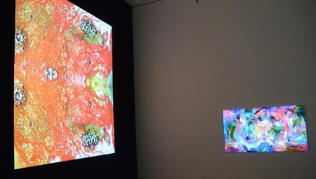 中山晃子の変化し続ける絵画「卵」（左）と「赤い緑、黄色い青」＝２０１５年８月５日、東京都新宿区（原圭介撮影）