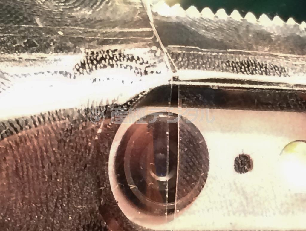 【写真（２）】セロハンテープをレンズ前に２枚、スリットを作るように貼り付けると、ミニチュア写真のように撮ることもできたりします（野口隆史さん撮影）