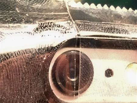 【写真（２）】セロハンテープをレンズ前に２枚、スリットを作るように貼り付けると、ミニチュア写真のように撮ることもできたりします（野口隆史さん撮影）