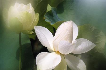 （大出一博さん撮影）