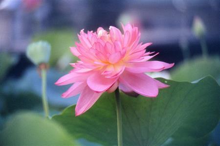 （大出一博さん撮影）