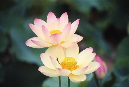 （大出一博さん撮影）