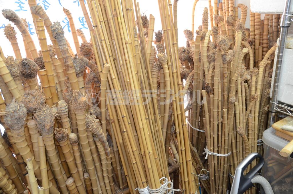和竿の材料となる竹＝２０１５年８月３日、東京都港区（原圭介撮影）