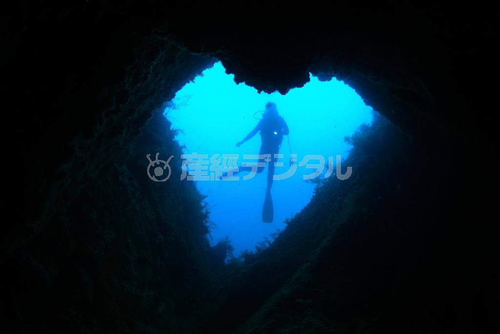 くぐると恋愛が成就すると言われるハート型をした「ハートトンネル」。ただし引き返すと台無しになるというので気をつけて＝２０１５年７月２７日、鳥取県岩美郡岩美町（越智隆治さん撮影）