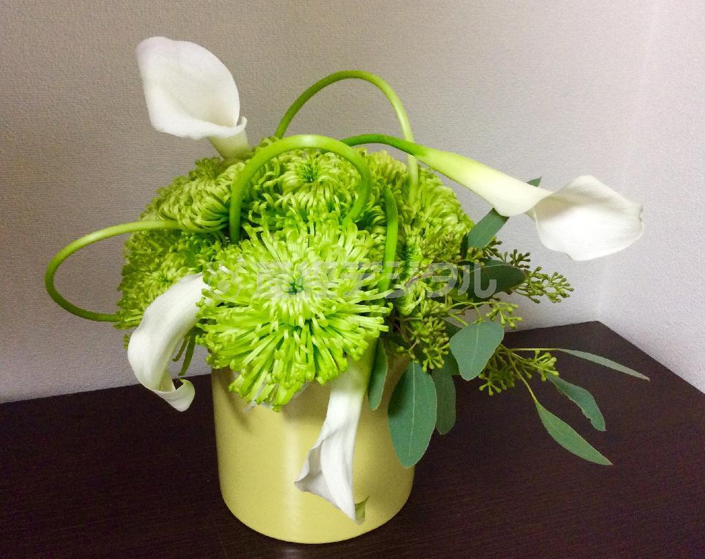 重陽の節句に菊のモダンアレンジ（Ｆｉｎｉｓｈ！、花千代さん提供）