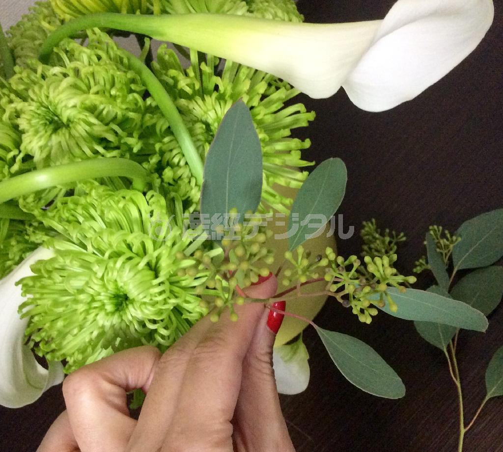 最後にユーカリポポラスを、根元にアクセントにして出来上がり（花千代さん提供）