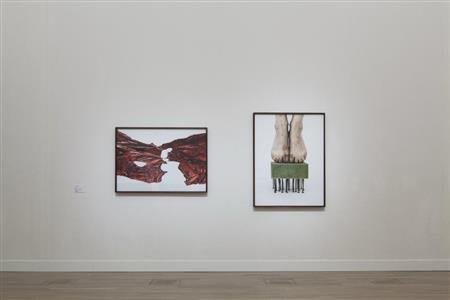 キ・スルギ「砂をかむ瞬間」（２０１５年、国立新美術館提供、大西正一さん＋中川周さん撮影）