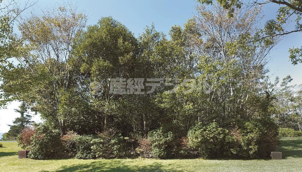 「４個の鉄に囲まれた優雅な樹々」（２０００年、霧島アートの森）＝２０１４年１１月（山本糾さん撮影、提供写真）