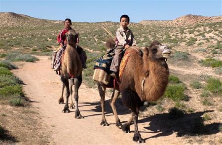 【メディアトリガーｐｌｕｓ（試聴無料）】映画「僕たちの家に帰ろう」（リー・ルイジュン監督）。８月２９日公開（マジックアワー撮影）。（Ｃ）２０１４＿ＬＡＵＲＥＬ＿ＦＩＬＭＳ＿ＣＯＭＰＡＮＹ＿ＬＩＭＩＴＥＤ