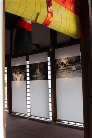井浦新＿下鴨神社写真展「御生＿Ｍｉａｒｅ」の会場となる神服殿（しんぷくでん）。御神服を奉製する御殿であったことから、厳かな雰囲気が漂い、御簾を上げると展示写真を垣間見ることができた＝２０１５年６月１９日、京都市左京区の賀茂御祖神社（下鴨神社、田中幸美撮影）