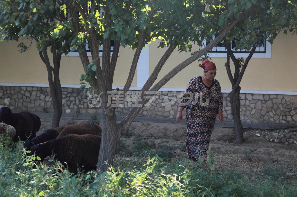 急速に開発が進むテルメズ。しかし路地を入れば、昔からほとんど変わりない人々の生活が垣間見える＝２０１５年８月９日、ウズベキスタン・スルハンダリヤ州テルメズ（佐藤良一さん撮影）