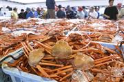 境港に初水揚げされたベニズワイガニ＝７日、鳥取県境港市