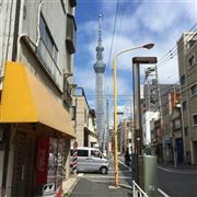 毎日この調子で目の前に立ちはだかるのである＝２０１５年８月２７日、東京都墨田区（長塚圭史さん撮影）